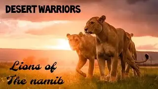 🦁 Воины пустыни: | Львы Намибии | Документальный фильм о дикой природе 🌱🦒