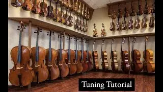 Tuning Tutorial (violin, viola, cello & double bass)
