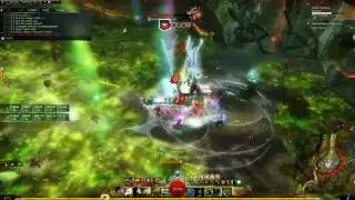 [QQ] GW2 - Casual Sloth Kill - Druid POV