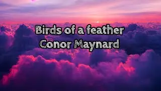 Conor Maynard - Birds of a feather lyrics