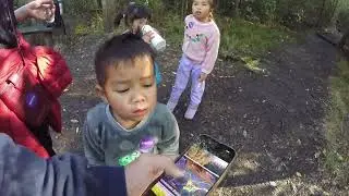 Pukemokemoke Bush Reserve