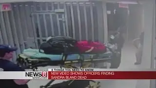 Jail Video of Sandra Bland Death Released, As Family Awaits Dash Cam Video