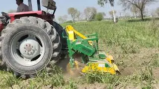 sugarcane inter row rotavator
