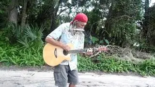 Original 1965 RONNIE VAN ZANT Attitude Song by Steve Vest