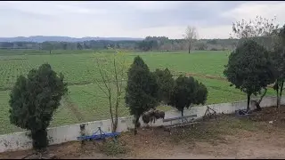 62 killa land for sale with kothi for more information call 97810 17629 NK Choudhary Thanks