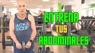 RUEDA ABDOMINAL en 4 niveles |  ABDOMEN de 10