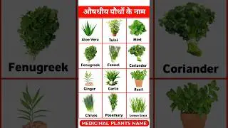 Medicinal plants name 🌱🌵, #shorts #shortsfeed  #plantsname #plant