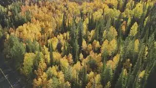 South Hills Fall Colors