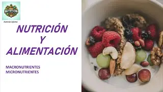 CONCEPTOS BASICOS DE NUTRICI&Oacute;N Y ALIMENTACI&Oacute;N  | Nutrici&oacute;n Informa.
