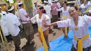Tari Rejang Renteng Dadia Dangin Bale Agung