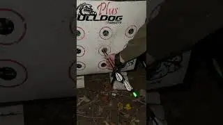Bulldog Targets - Are They Still Good 1 Year Later???