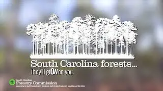 PSA: SC Forestry Commission Overview (30s)