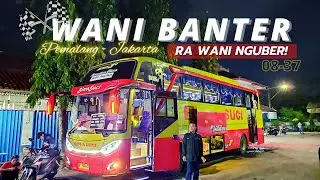 BOSEN DI OVERTAKE TERUS! | TRIP PEMALANG - JAKARTA NAIK BIMA SUCI | TERMINAL SUB COMAL KAB.PEMALANG