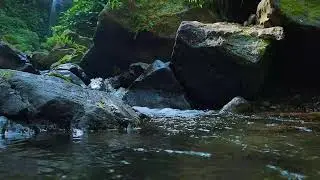 Relaxing River Sounds &ndash; Thicket Run &mdash; no ambience, only water.