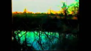 Midwest  Mallards & Crows