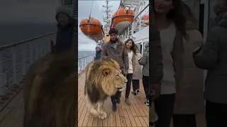 Spain to Italy on Mediterranean Cruise ship, #shorts #shortsvideo #shortsfeed #shortsviral #ai #?