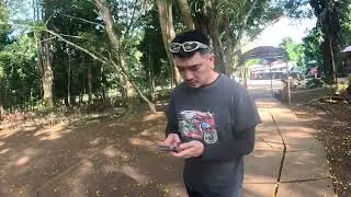 Davao Vlog Day 1 Nakita Namin ang Philippine Eagle!
