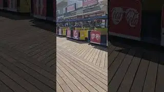Watch the Tram Car Please, Wildwood 2025