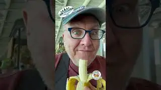 Жан-Люк и Ник - Рождественское празднование в лагере Ривервью - Веселое времяпрепровождение на ферме
