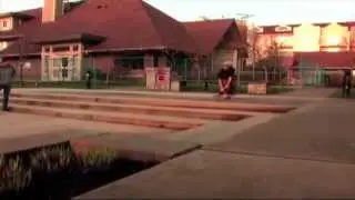 THEDAILYSHRED 2010 Reel