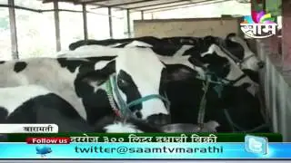 Sachin Jadhav's diary farming success story