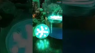 Submersible Color Changing Magnetic Pool Lights #shorts