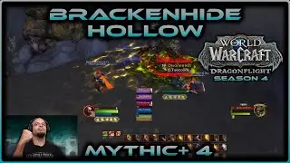 Brackenhide Hollow +4 | Holy Paladin | WoW Dragonflight Season 4