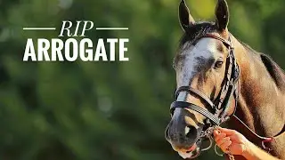 Rip Arrogate | Tribute To Champion.