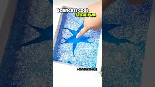Easy STEM Activity At Home/ Fun Science Activity #stemforkids #stem #scienceathome #kidsactivities