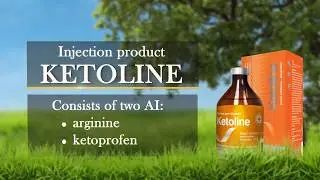 Ketoline - injection product (English version)