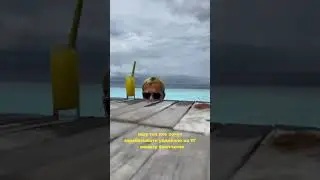 Хочешь, я помогу тебе зарабатывать удаленно на телеграм?🚀