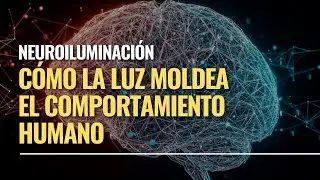 Neuroiluminación: Cómo la Luz Moldea el Comportamiento Humano 🧠💡| Luxdey Lighting Academy