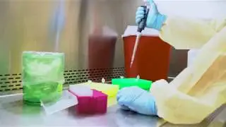 How to safely use a biosafety cabinet