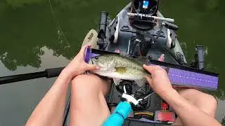 My favorite bass of 2024 😎😎 #fishing #bassfishing #kayakfishing #kayakangler #kayakfishing #kayak