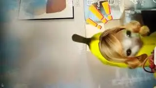 Banana Cat Broke The Air Conditioner 🐈🍌 #ComboCrew #Funny #Moments