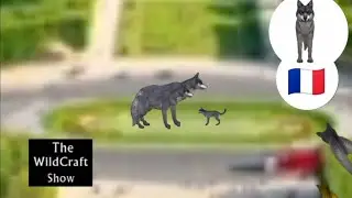 Wolfy et WildBred entrent dans la machine &agrave; voyager dans le temps