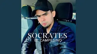 Todavia Te Amo