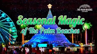 Experience The Seasonal Magic of The Palm Beaches