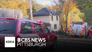 Family dog killed, 2 firefighters injured in Ross Township house fire
