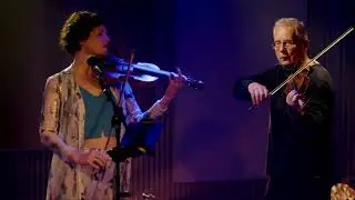 Das Mellow Melange Trio spielt 