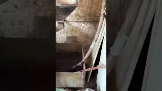 Farm fresh oil extraction