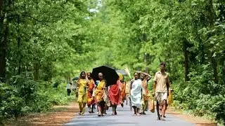 Mumbai Aarey Colony Protest | Tree cutting Protest at Aarey colony Mumbai | Mumbai Live