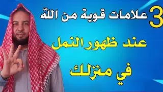 3 علامات قوية من الله عند ظهور النمل في منزلك
