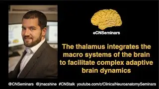 #CNStalk: The thalamus integrates the macro systems of the brain - James M Shine