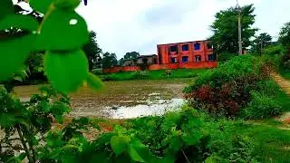 #vieado Kumharaul (कुम्हारौल) School #kumharaul #gayghat #muzaffarpur #trending #governmentschool 