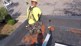 Just another Day