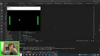 Game Development in x86 Assembly Language - Ball Moves