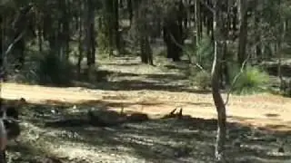 WRC Telstra Rally Australia - Perth 2004