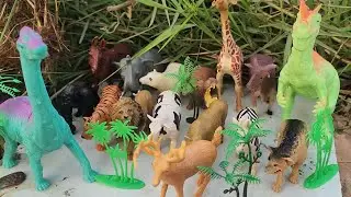🐘🦒 Mud Friends Episode! Washing Many Wild Animals & Learning Names  Kids Video