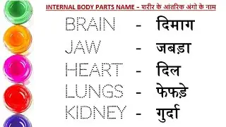 Internal body parts name | Names of internal body parts | Internal body parts name in English Hindi